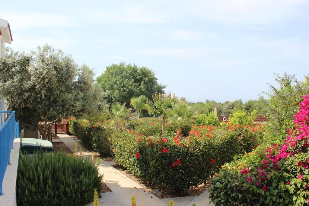Kavalla Forest Villas Paphos Eksteriør bilde
